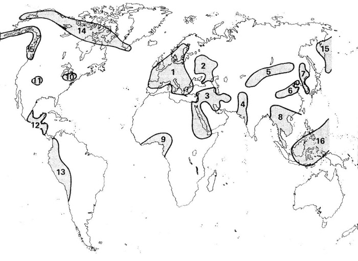 Лев Гумилев. Теория этногенеза. Великое открытие или мистификация? (сборник)