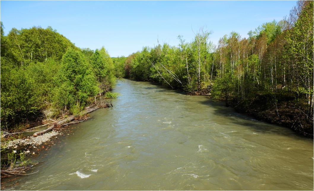 Записки сахалинского таёжника. Фоторассказы 2015. Восточно-Сахалинские горы – 1. Река Тымь, гора Лопатина, река Чамгу, гора Граничная