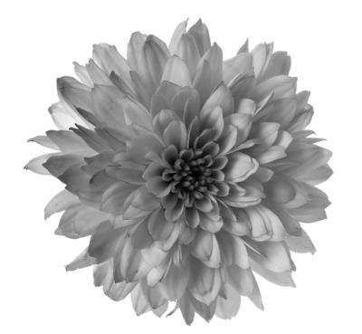 Разрушенная клятва